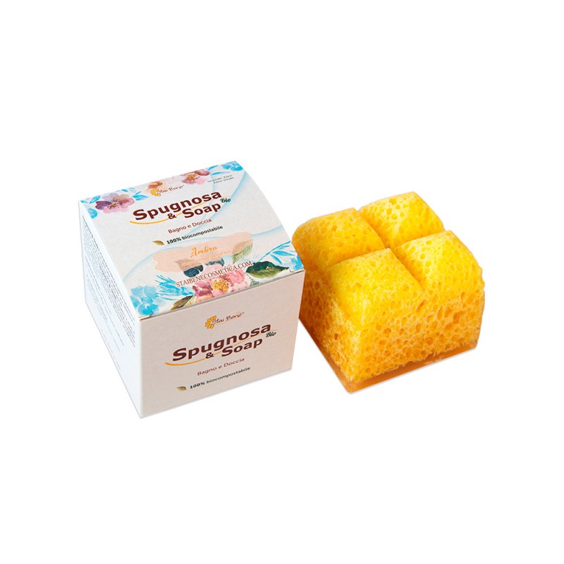 Sponge & Soap Amber