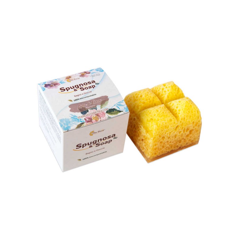 Sponge & Soap Coconut Milk